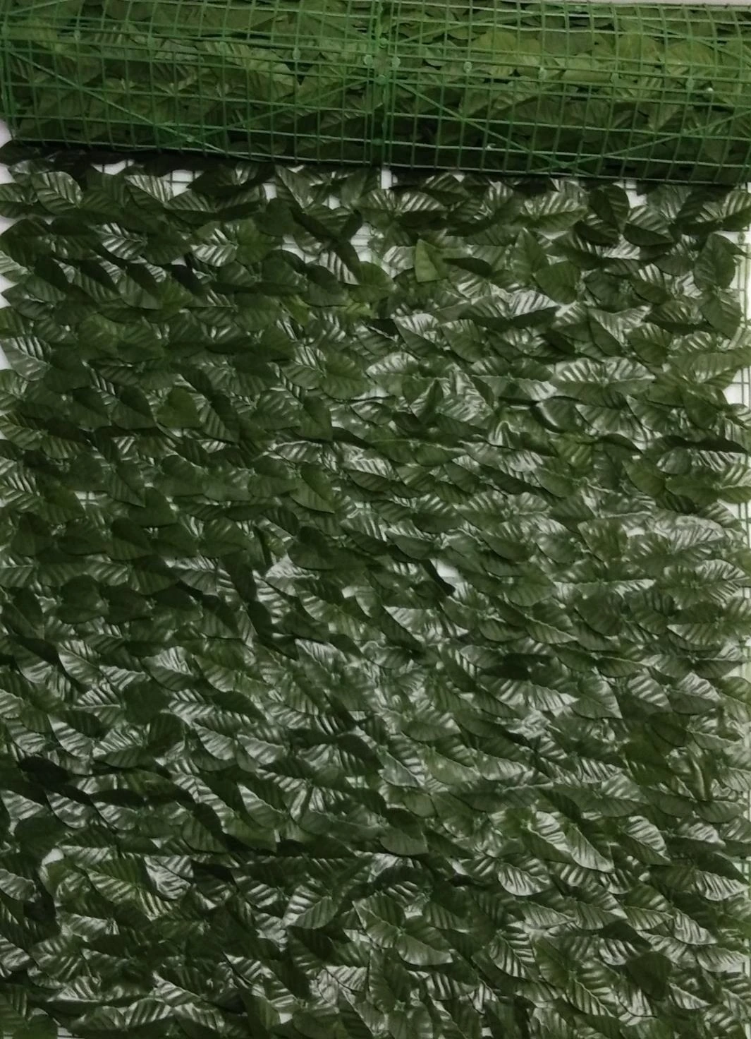 Apple Lvs Mat Roll 100x300 cm (50x25x8x3) D.Green